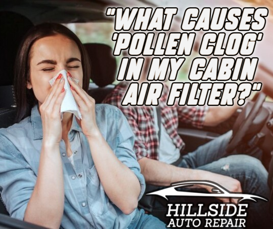 What Causes "Pollen Clog" in Your Cabin Air Filter